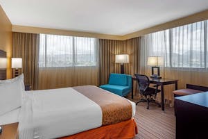 ada-deluxe-king-room (1)