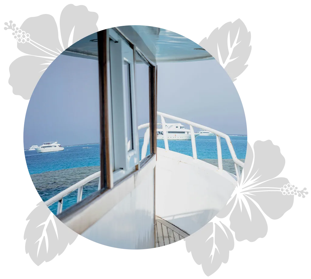 5-Star-Big-Island-day-3