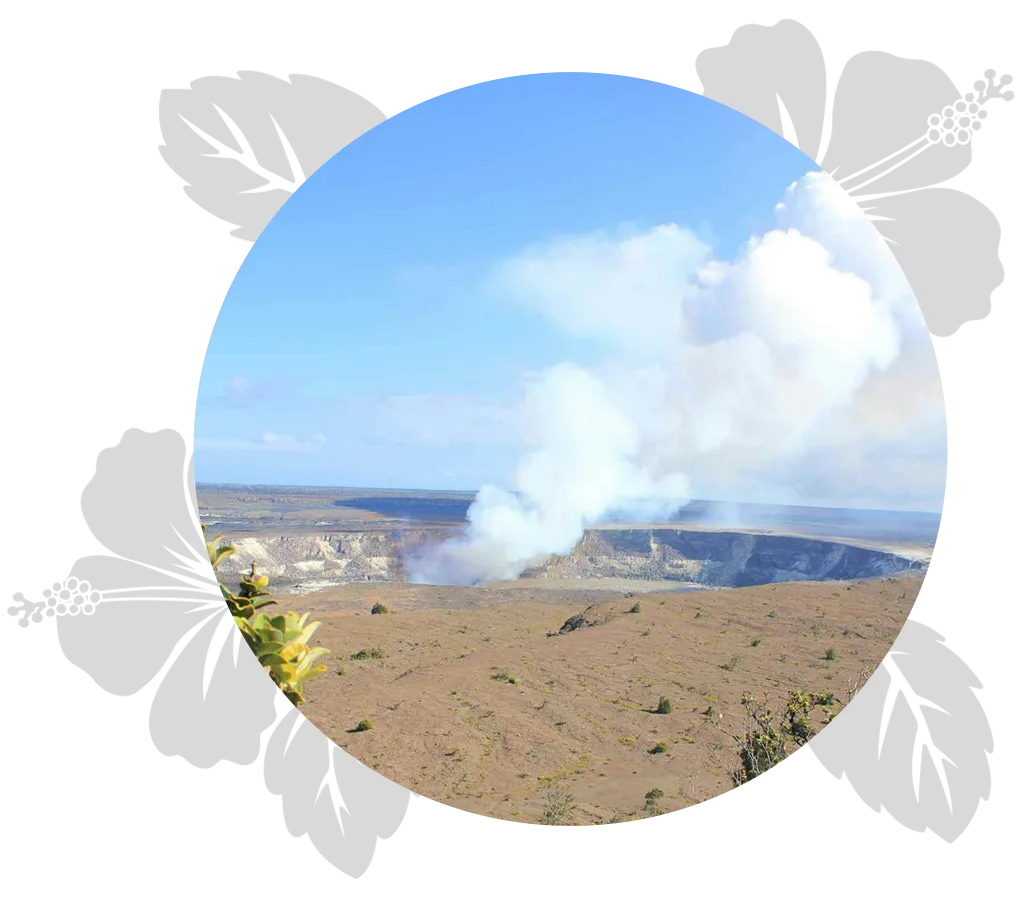 Beautiful-Devastation-