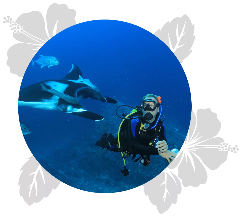 big-island-all-day-5