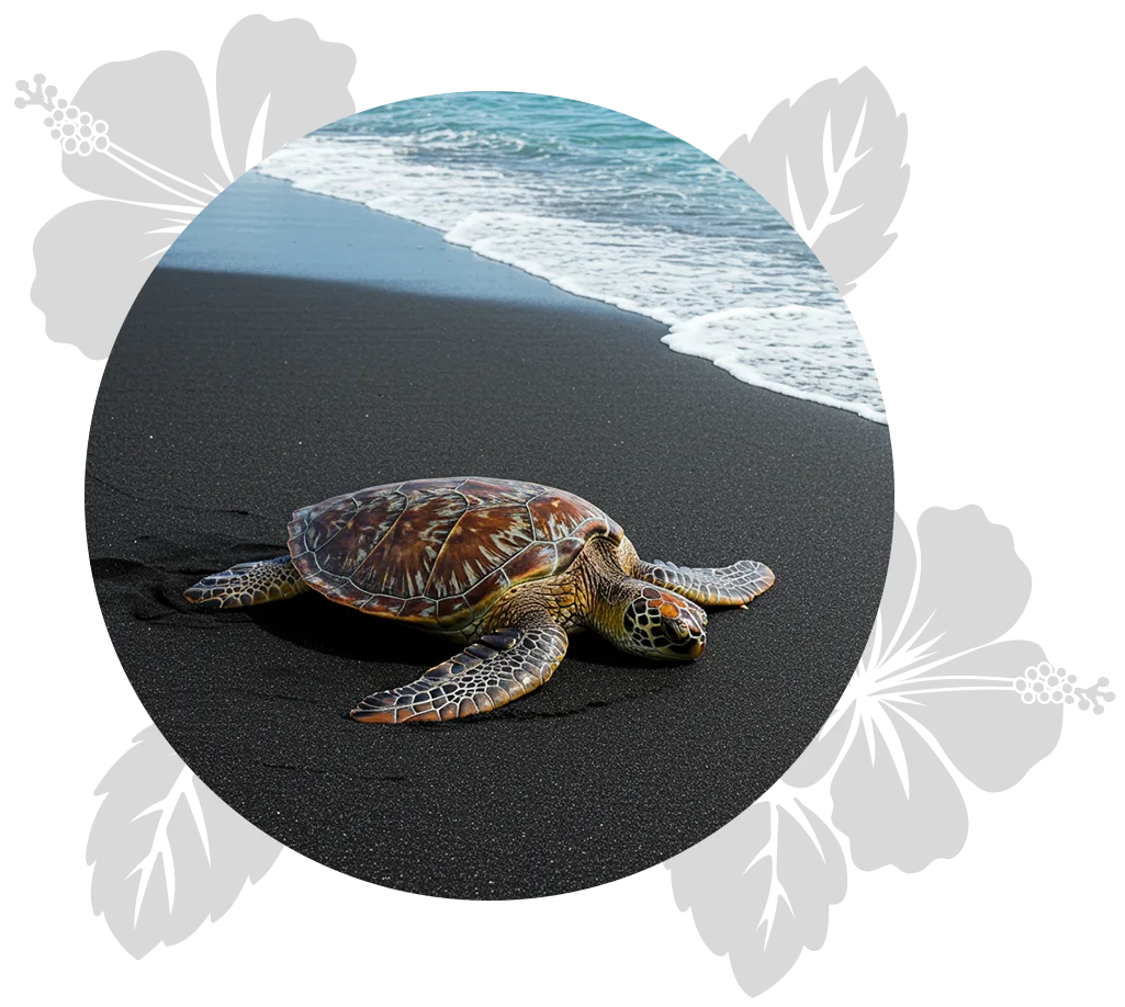 big-island-hilo-day-5