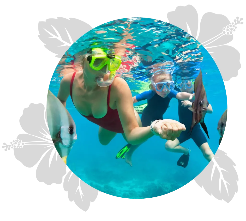 island-discovery-mau-day-4