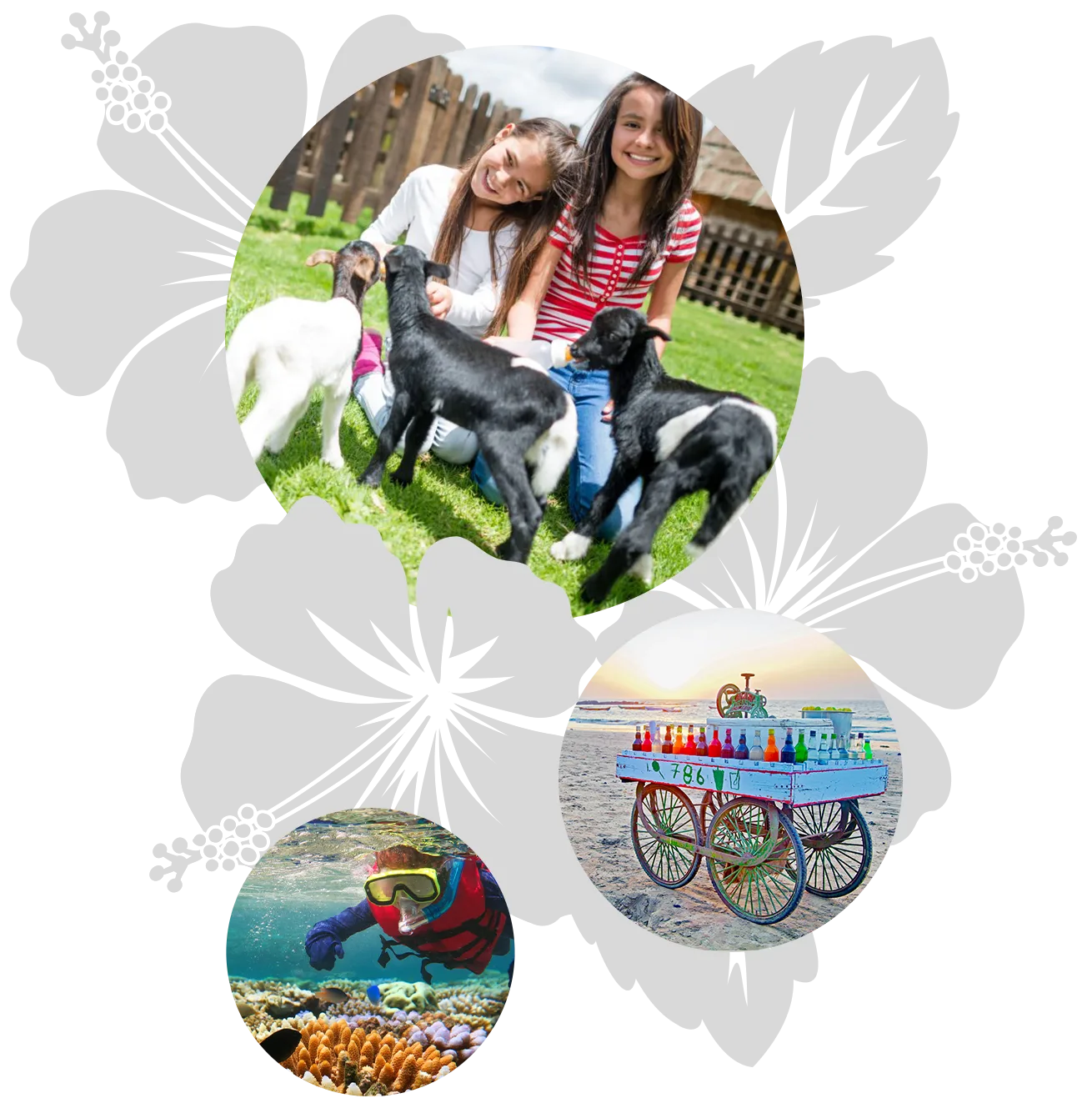 maui-island-features