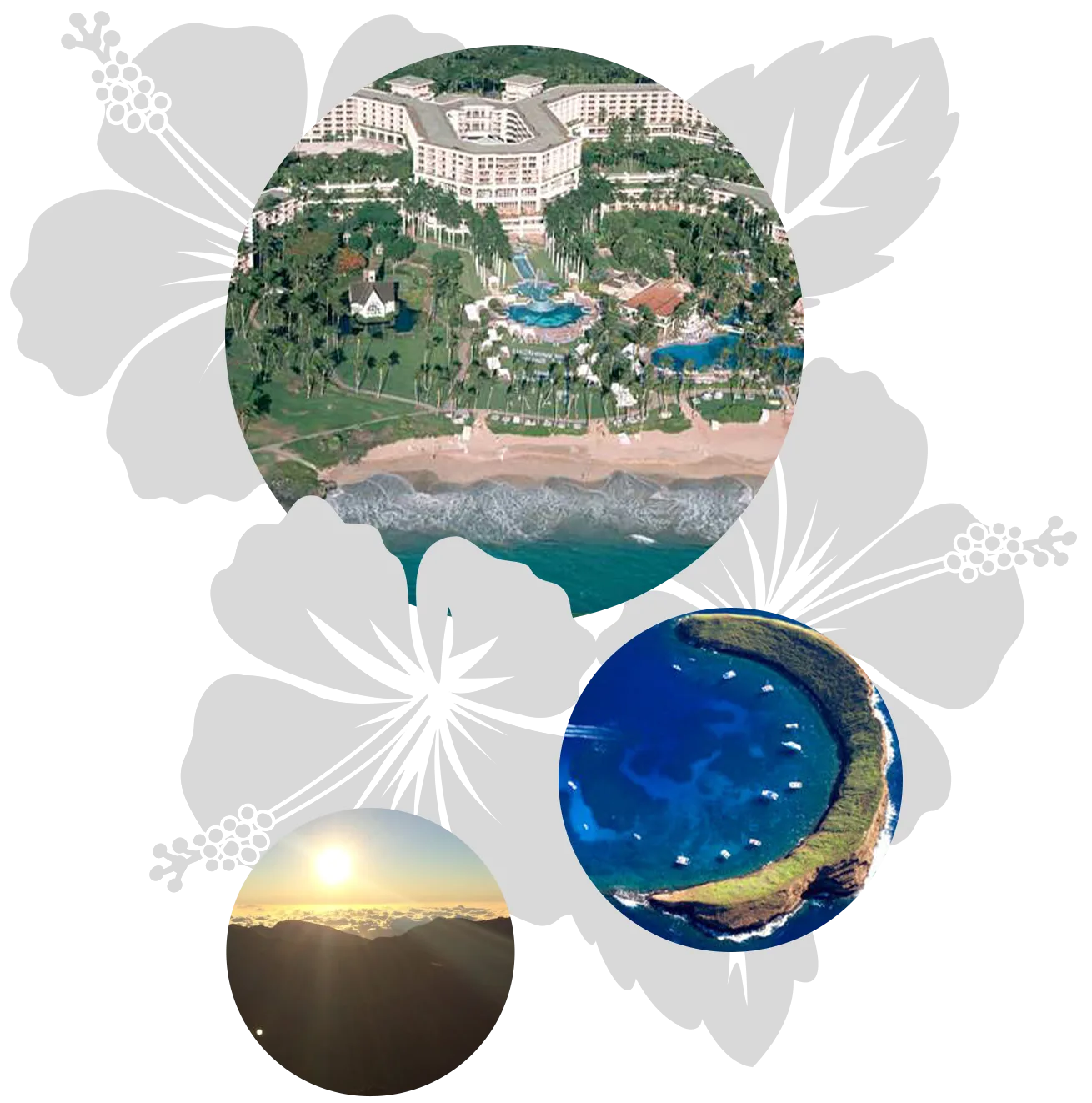 Maui-Luxury-features