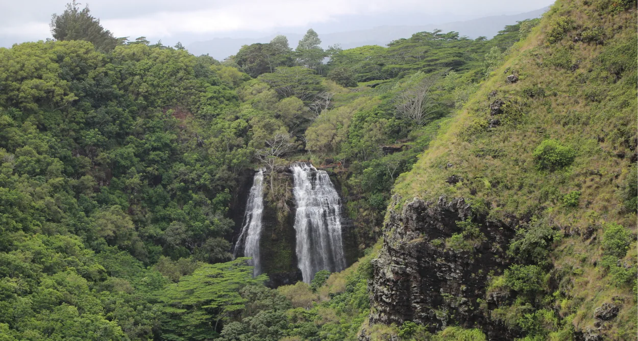 Opaeka'a Falls